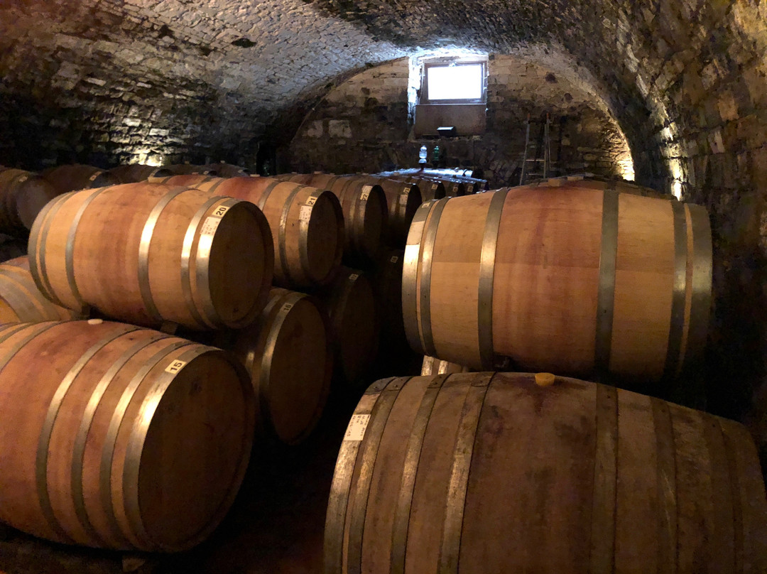 Villa Calcinaia Wine Shop-Greti必去景点