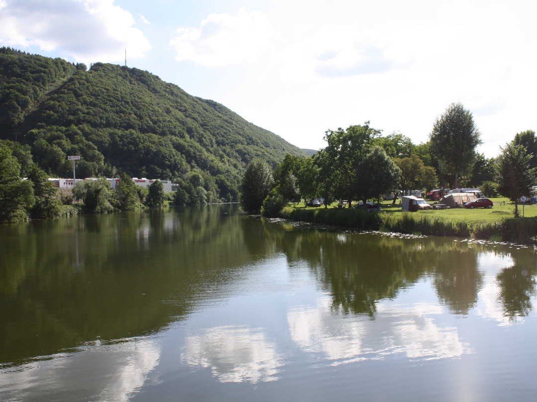 Campingplatz Mosel Islands