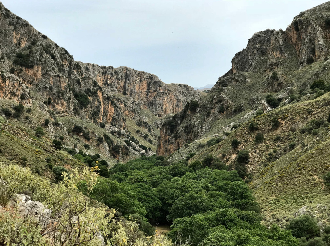 Deliana Gorge