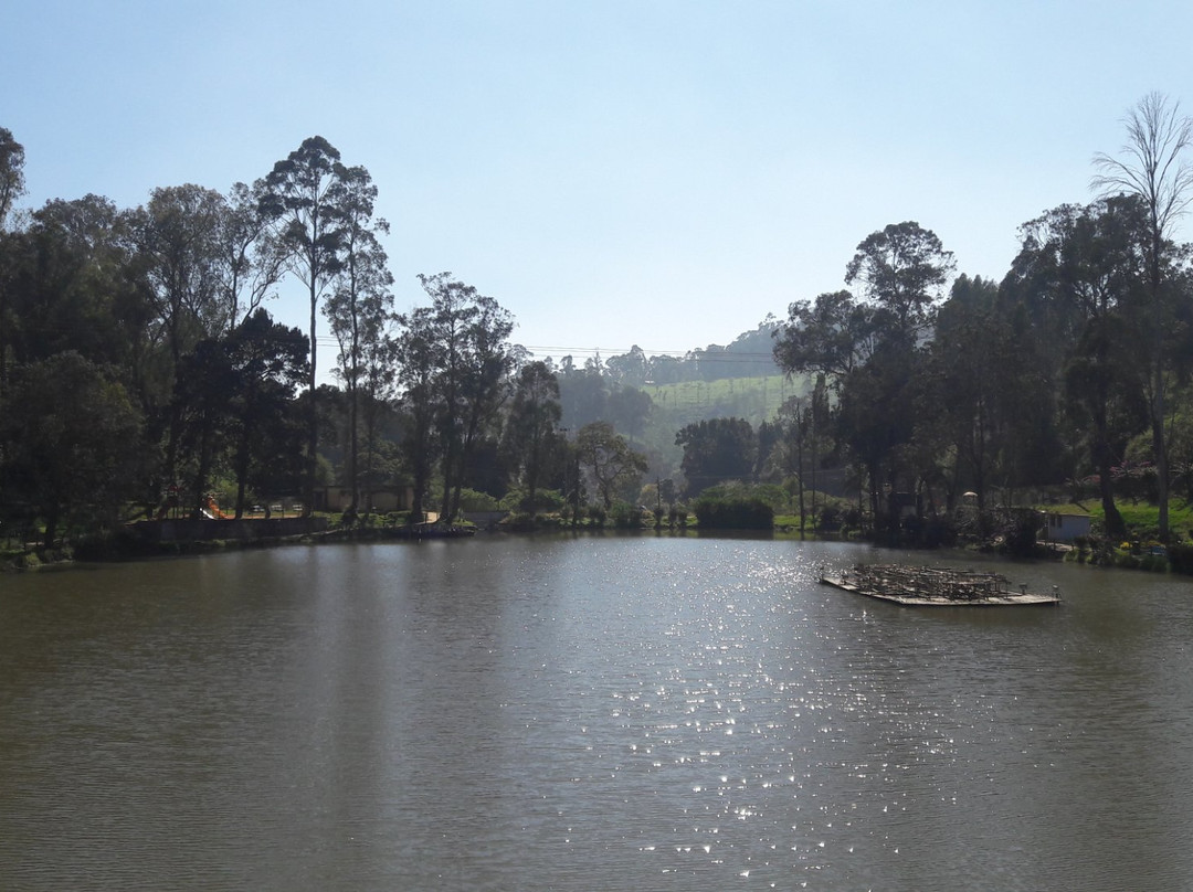 Wellington Lake景点图片