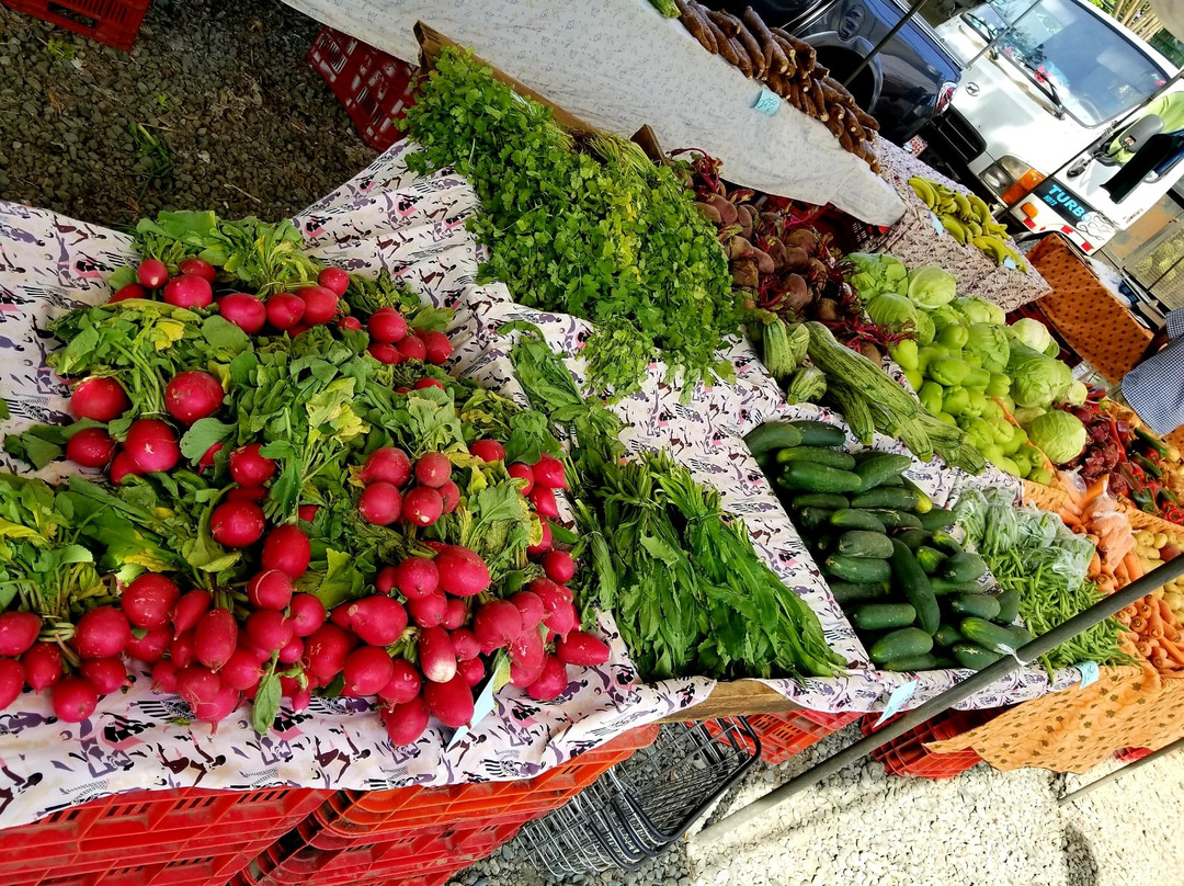 Farmers Fair (Ferias del Agricultor)景点图片