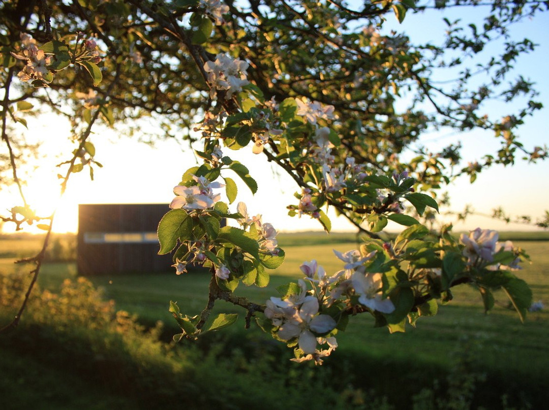 Hotel & Restaurant WeidumerHout主图