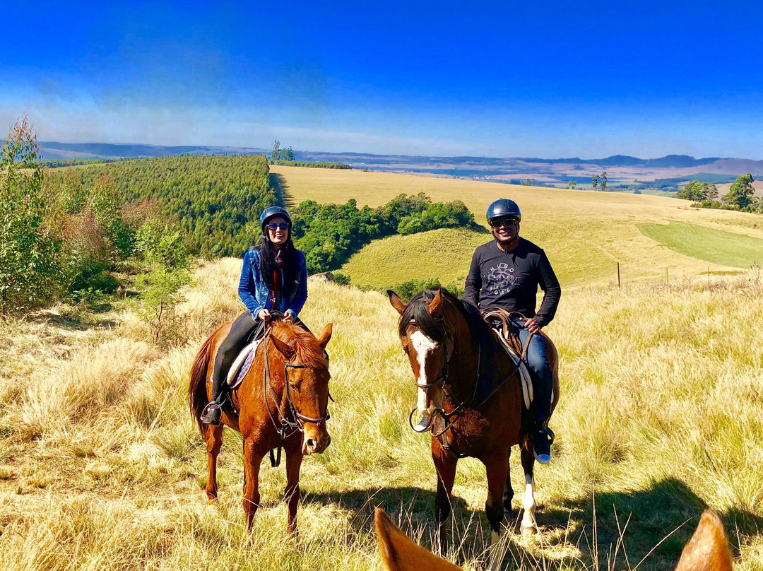 Buffelsbosch Equestrian景点图片