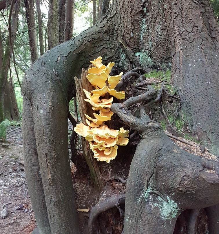 Watershed Park景点图片