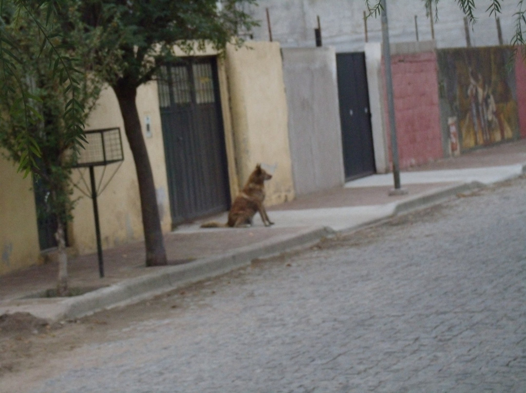 Calle Angosta-Villa Mercedes必去景点