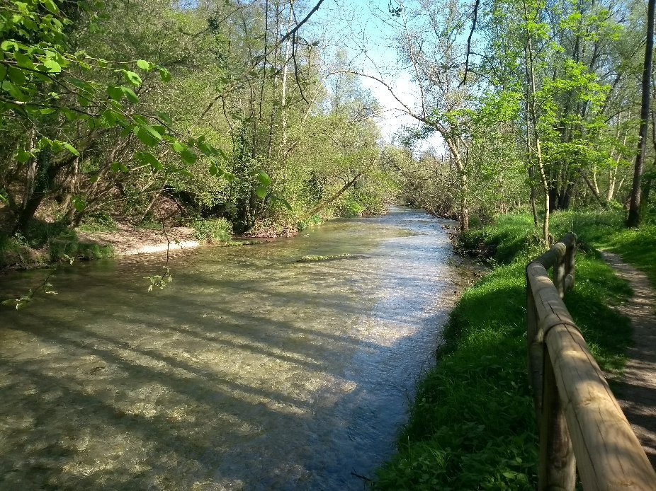 Oasi Fontane Bianche