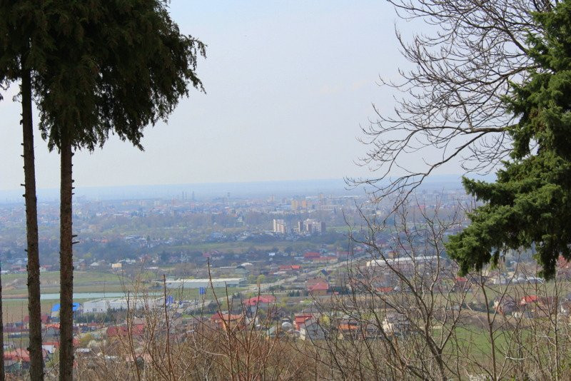 Mânăstirea Dealu景点图片