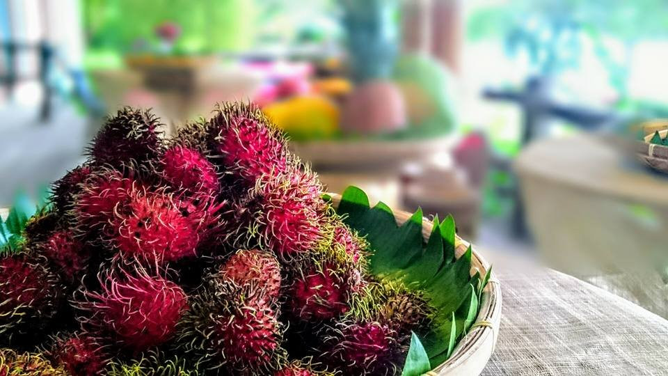 艾尔蒙特海滩度假村主图