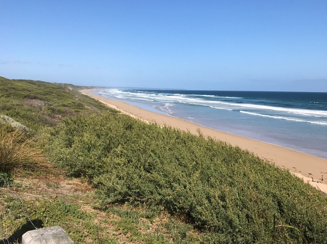 No 5 Beach-Venus Bay必去景点