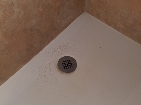 西雅图大学旅居酒店主图