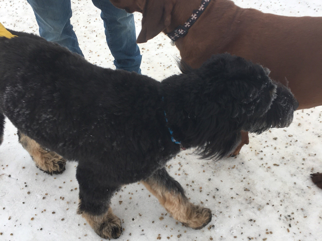 Oxbows Off Leash Dog Park景点图片