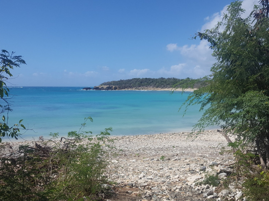 Playa Pata Prieta-Puerto Ferro必去景点