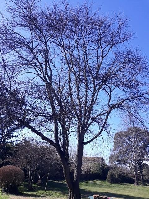 Château de la Grange des Prés-佩兹纳斯必去景点