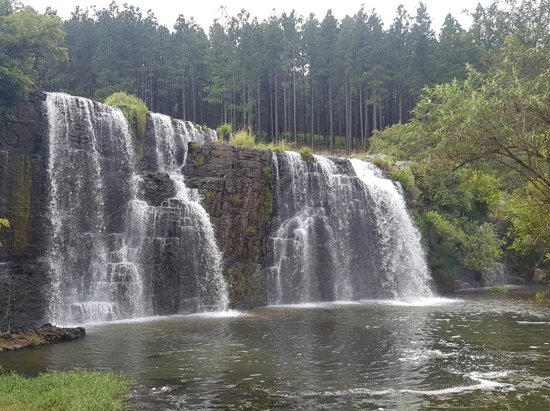 Forest Falls Nature Walk-沙比必去景点