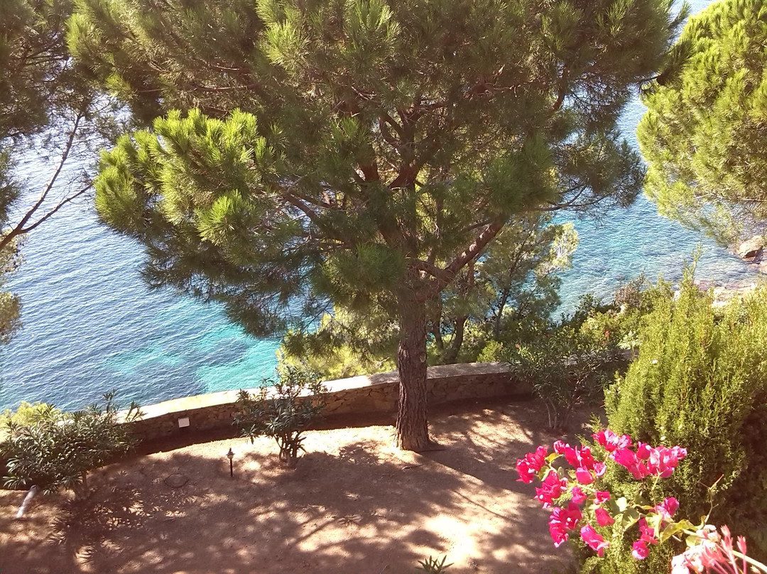Almadraba Park Hotel主图