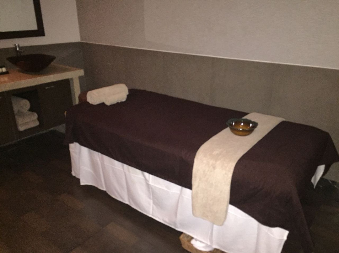 Tattva Spa-那格浦尔必去景点