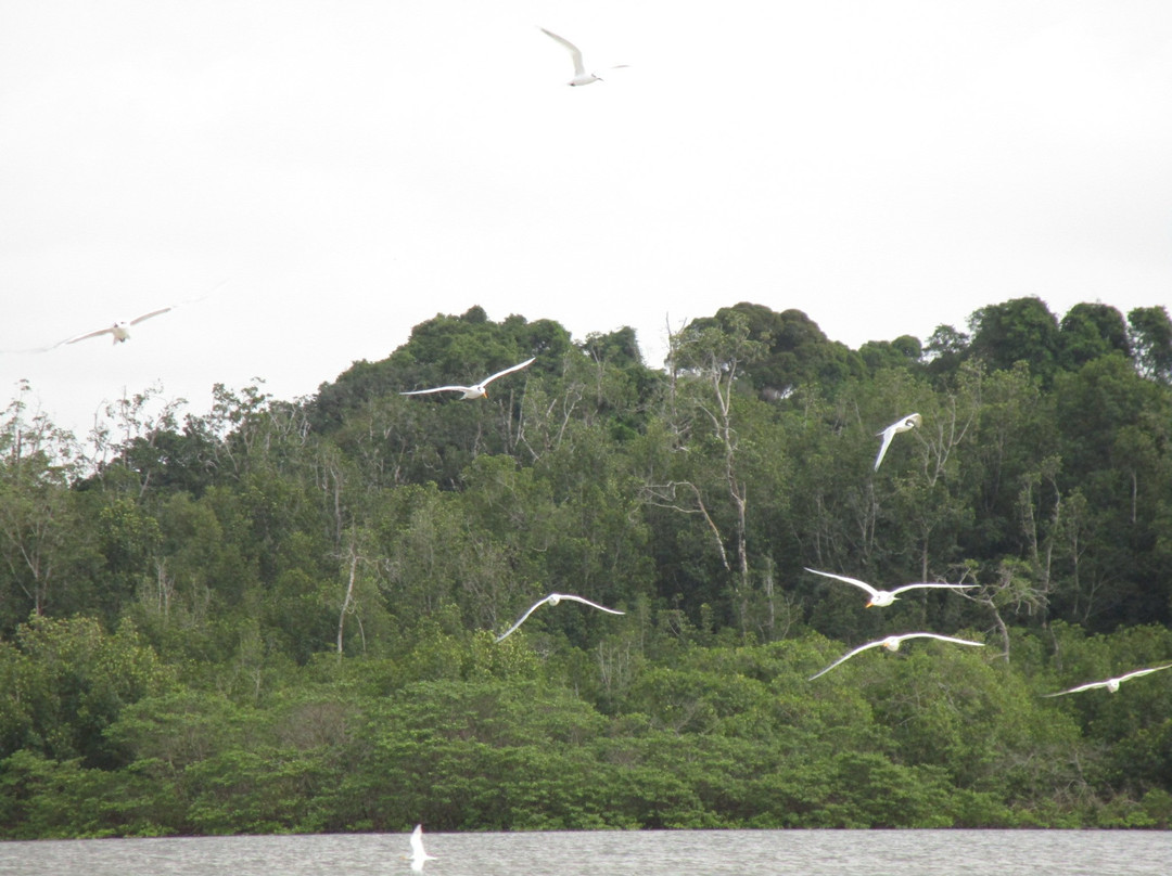 Akanda National Park景点图片