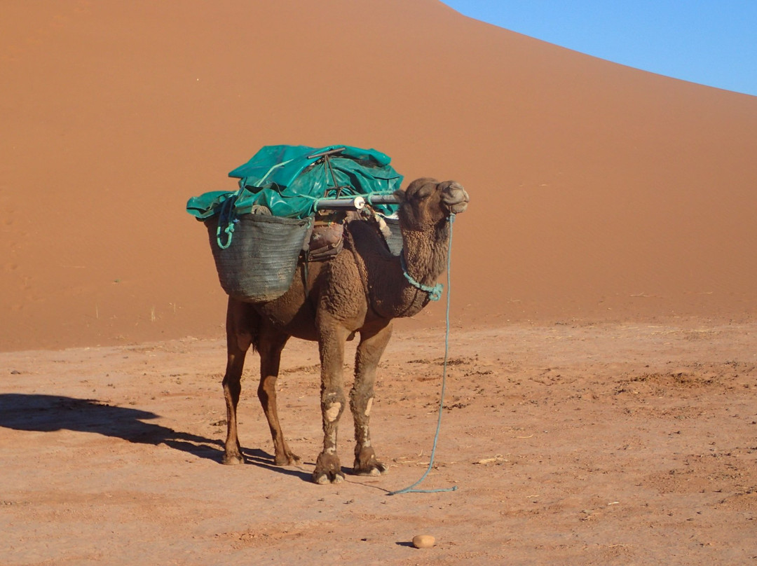 Wandern Marokko-Tabant必去景点