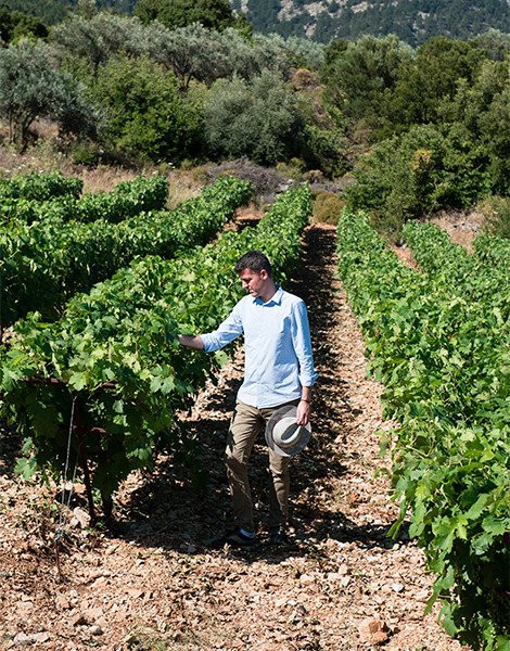 Alexandris Winery-Embonas必去景点