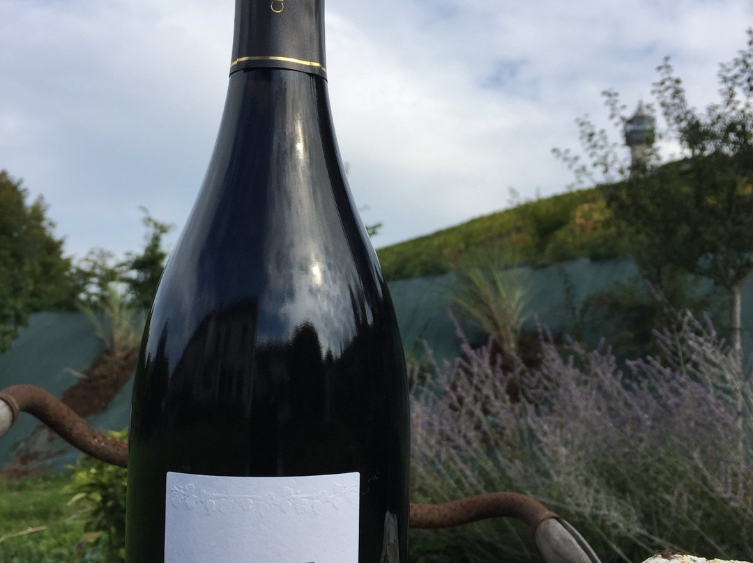 Champagne Hugues Godmé景点图片