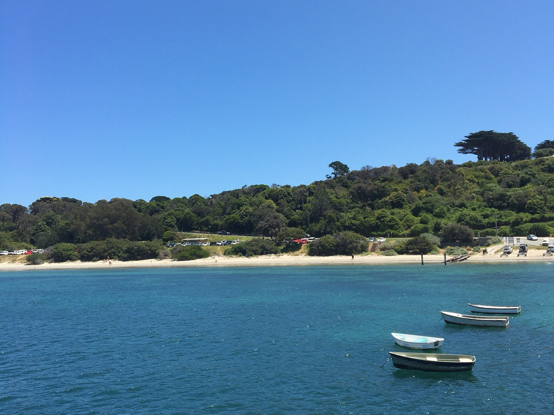 Flinders Beach景点图片