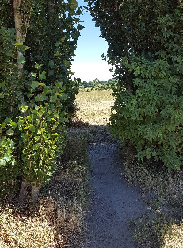 Halswell Quarry Park景点图片
