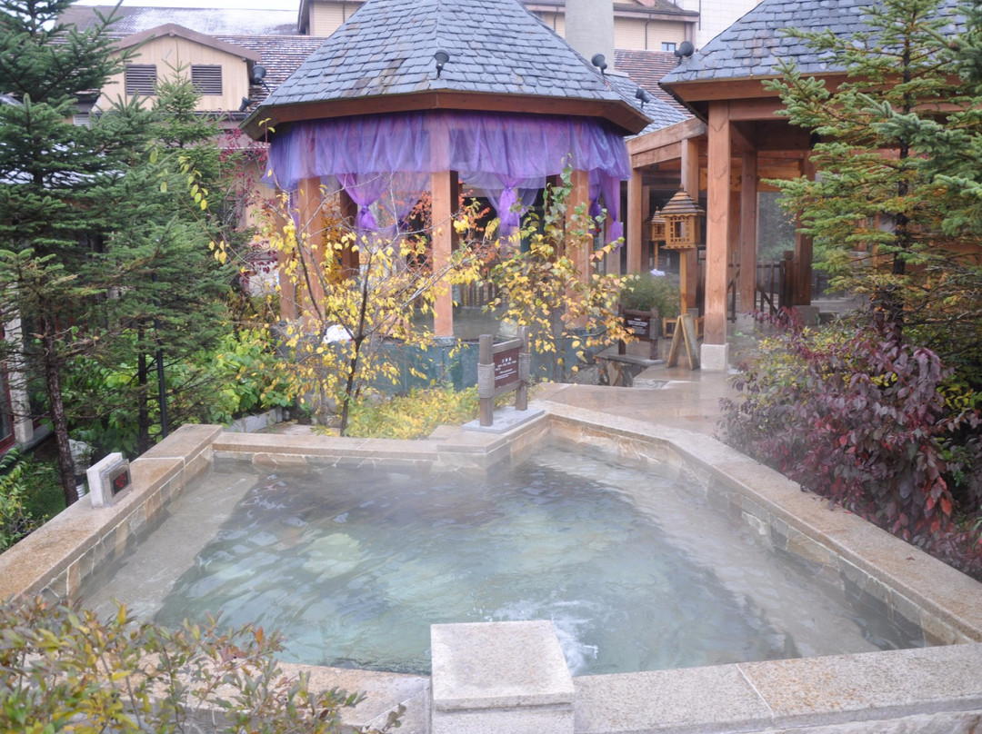 长白山汉拿山温泉度假会所