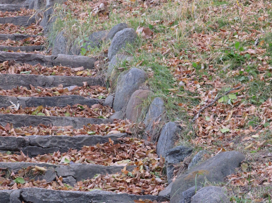 Crescent Park-穆斯乔必去景点
