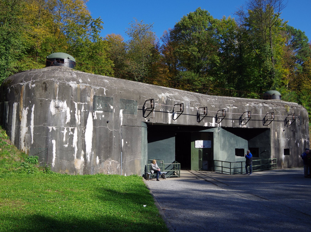 Fort De Schoenenbourg景点图片