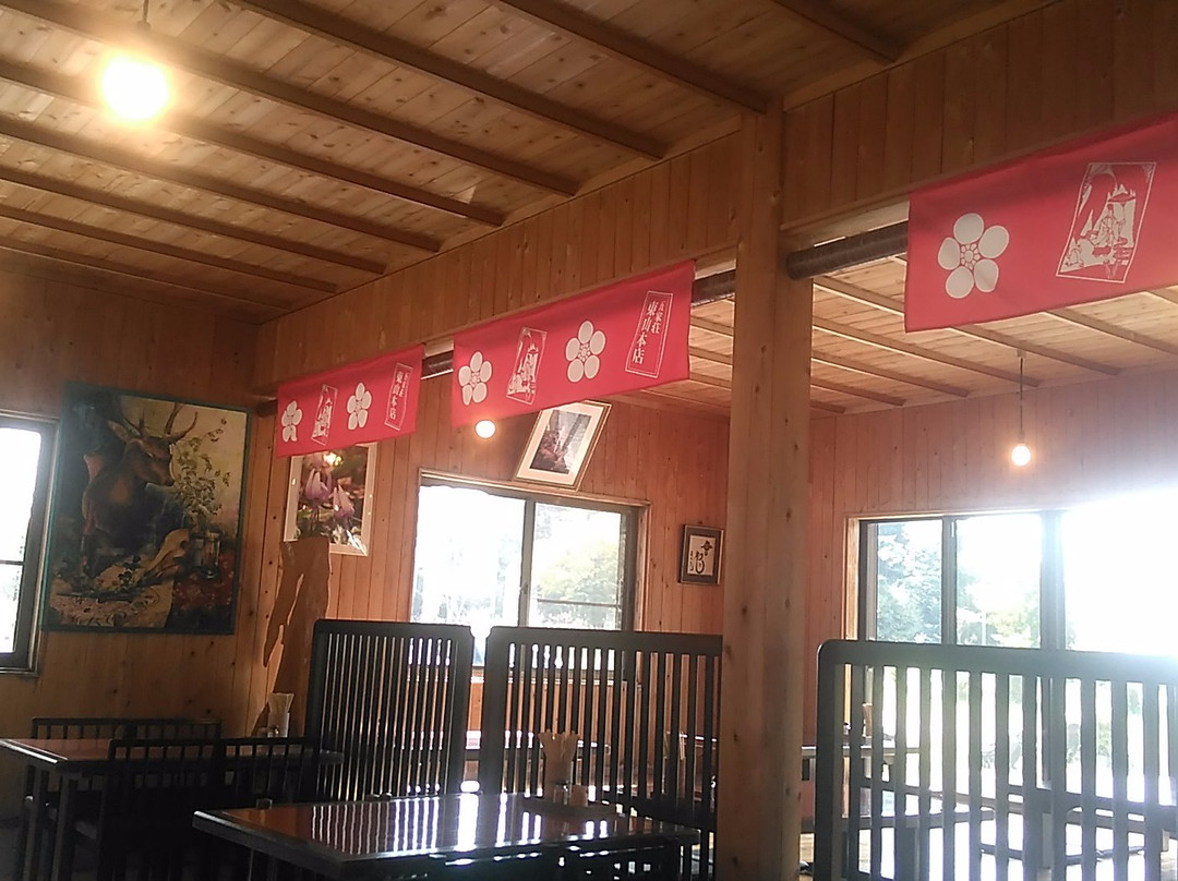 五木村餐馆和美食-Higashiyama Honten