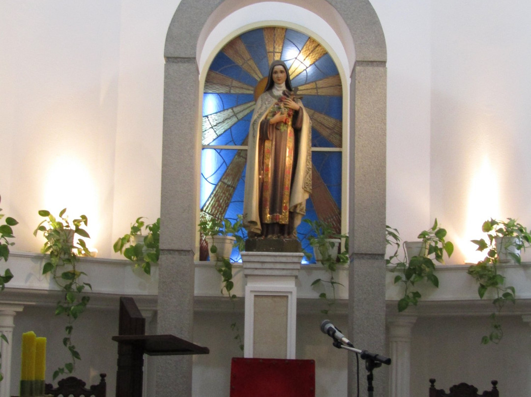 Parroquia Santa Teresa del Nino Jesus景点图片