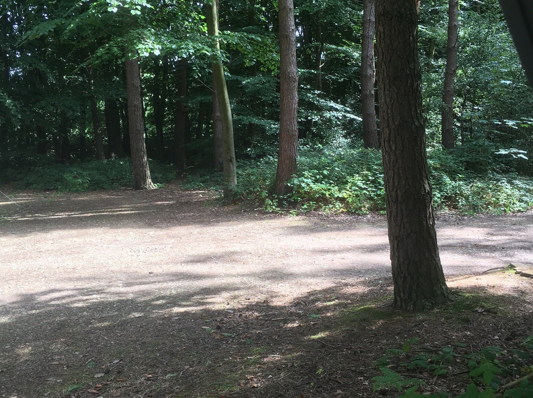 Woodland Caravan Park