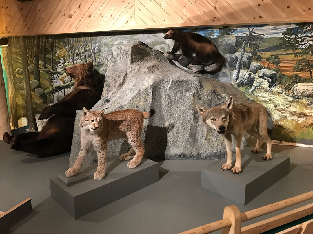 Norsk Skogmuseum-Elverum必去景点
