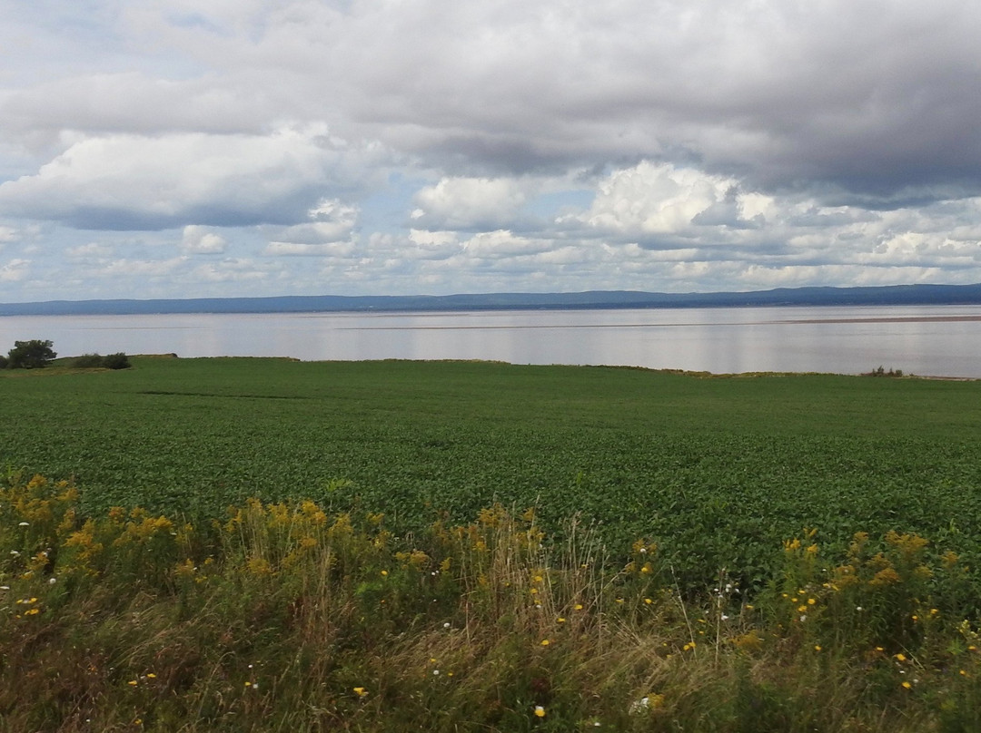 Glooscap Trail景点图片