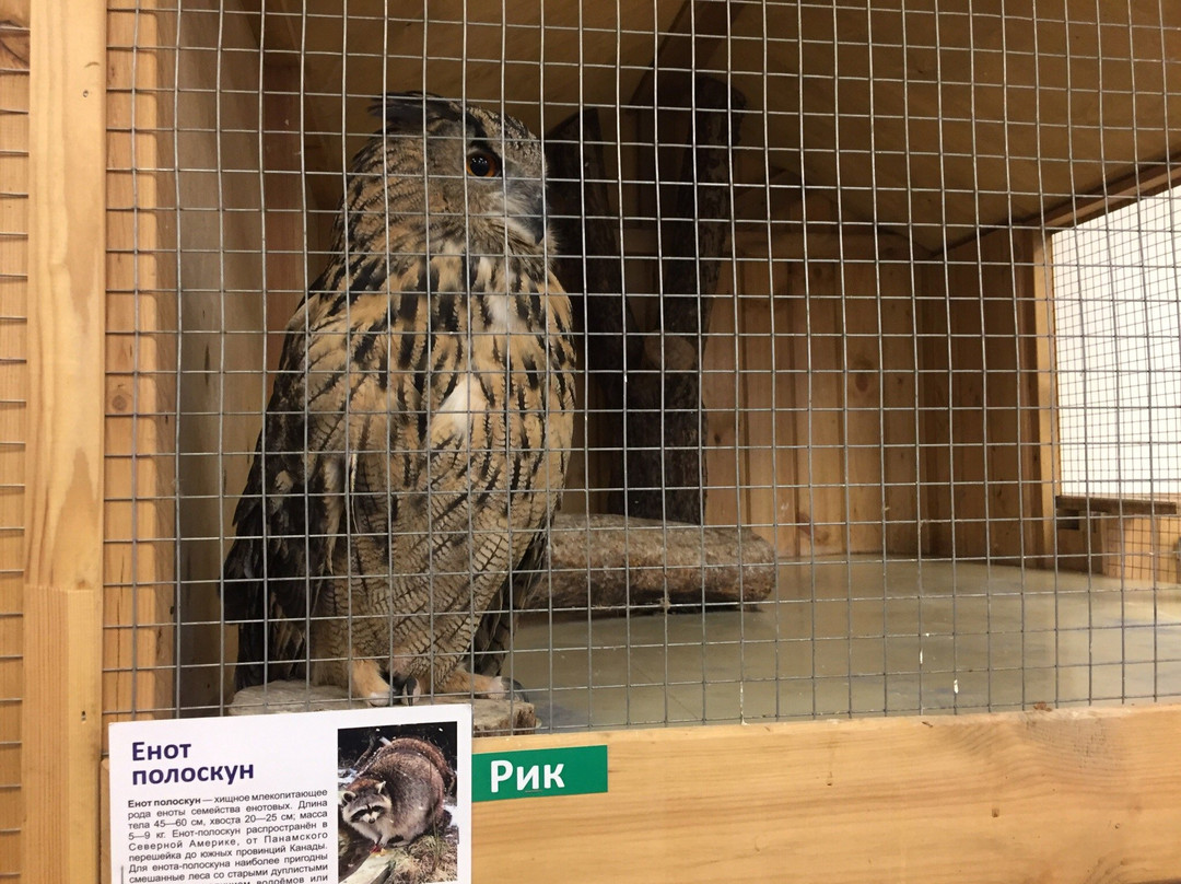 Tomas Petting Zoo-Yoshkar-Ola必去景点