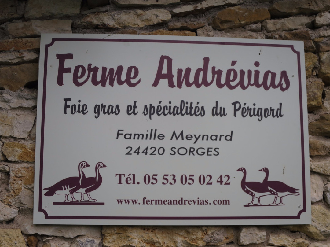 Ferme Andrévias景点图片