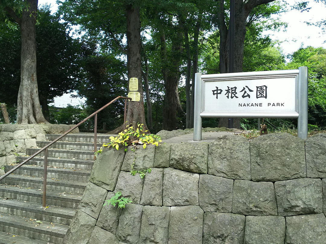 Nakane Park-目黒区必去景点