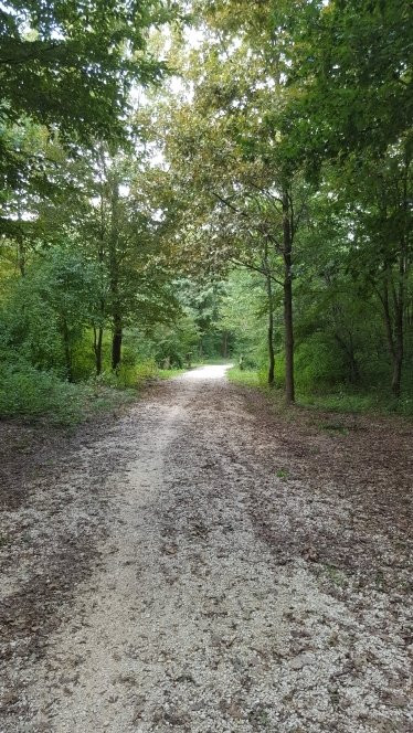 Bosco di Mestre - Bosco dell'Osellino-麦斯特必去景点