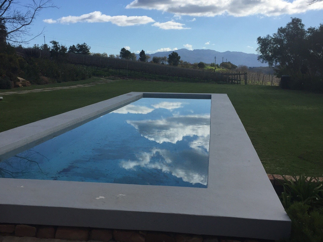 South Hill Vineyards - Elgin Western Cape-Elgin必去景点