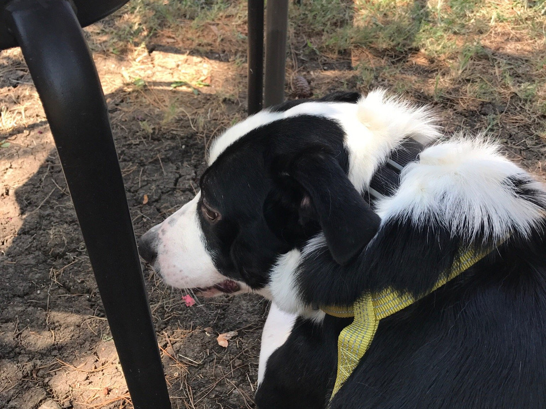 Caudalie Crest Winery-Celina必去景点