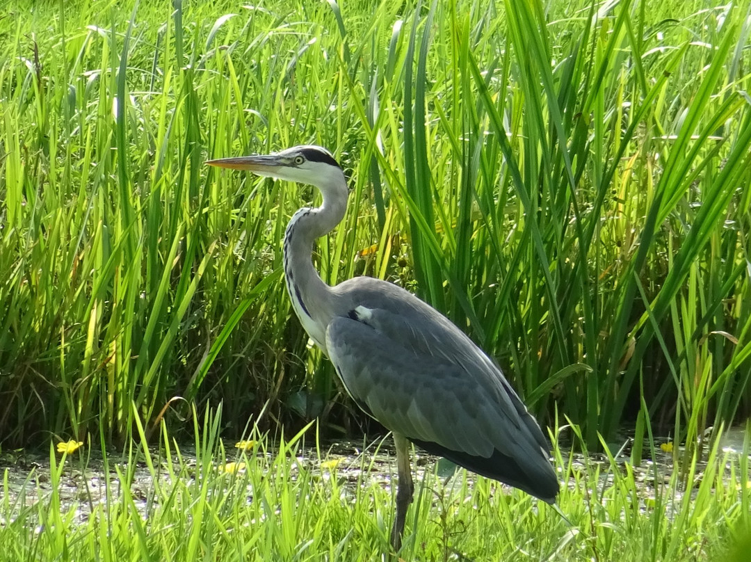 Wandelroute Heerlijkheid Beek景点图片