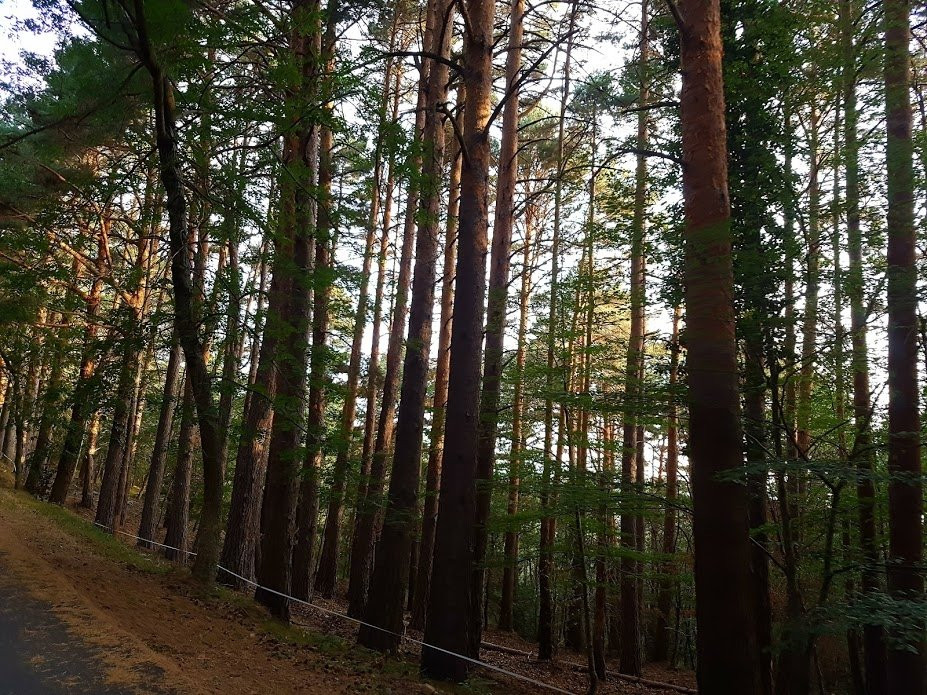 Moncayo Nature Reserve-Anon de Moncayo必去景点