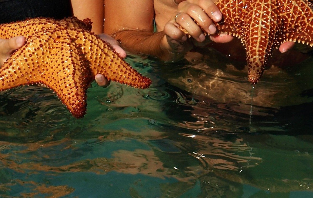 Piscina Natural La Catalina Cabrera-Cabrera必去景点