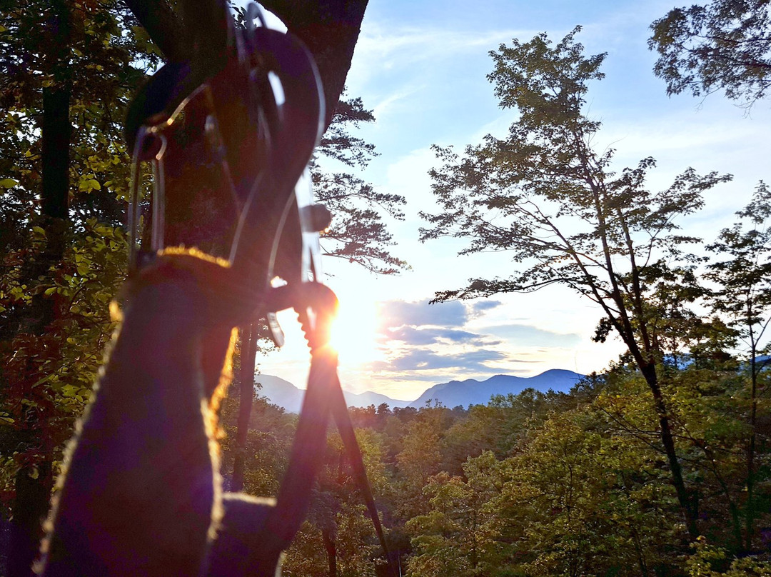 Canopy Ridge Farm-Lake Lure必去景点