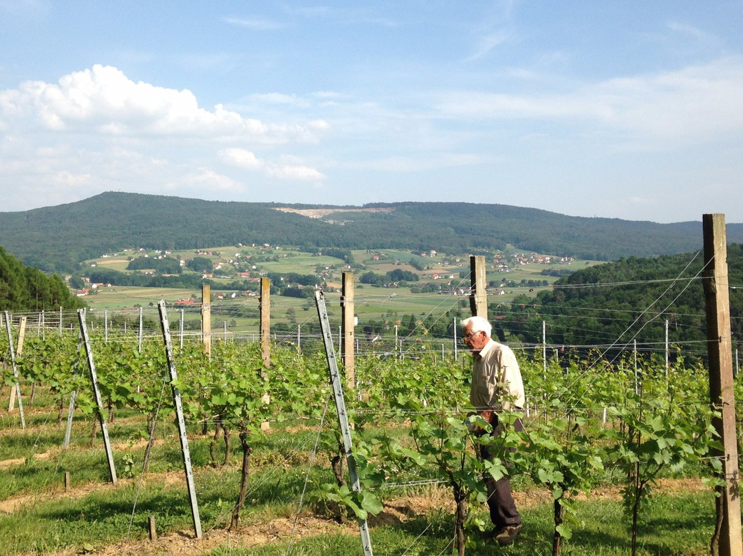 Villa Clar im Park - Therme - Weingut Hartinger