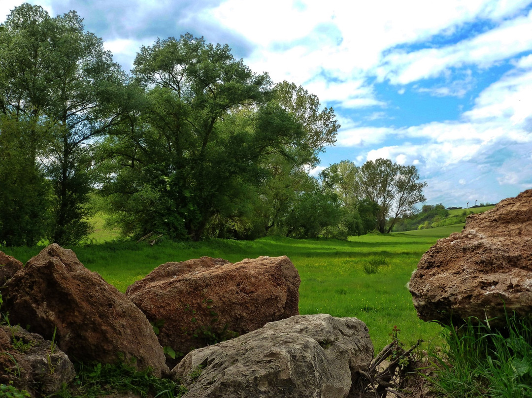 Riserva Naturale Macchia di Gattaceca e Macchia del Barco景点图片