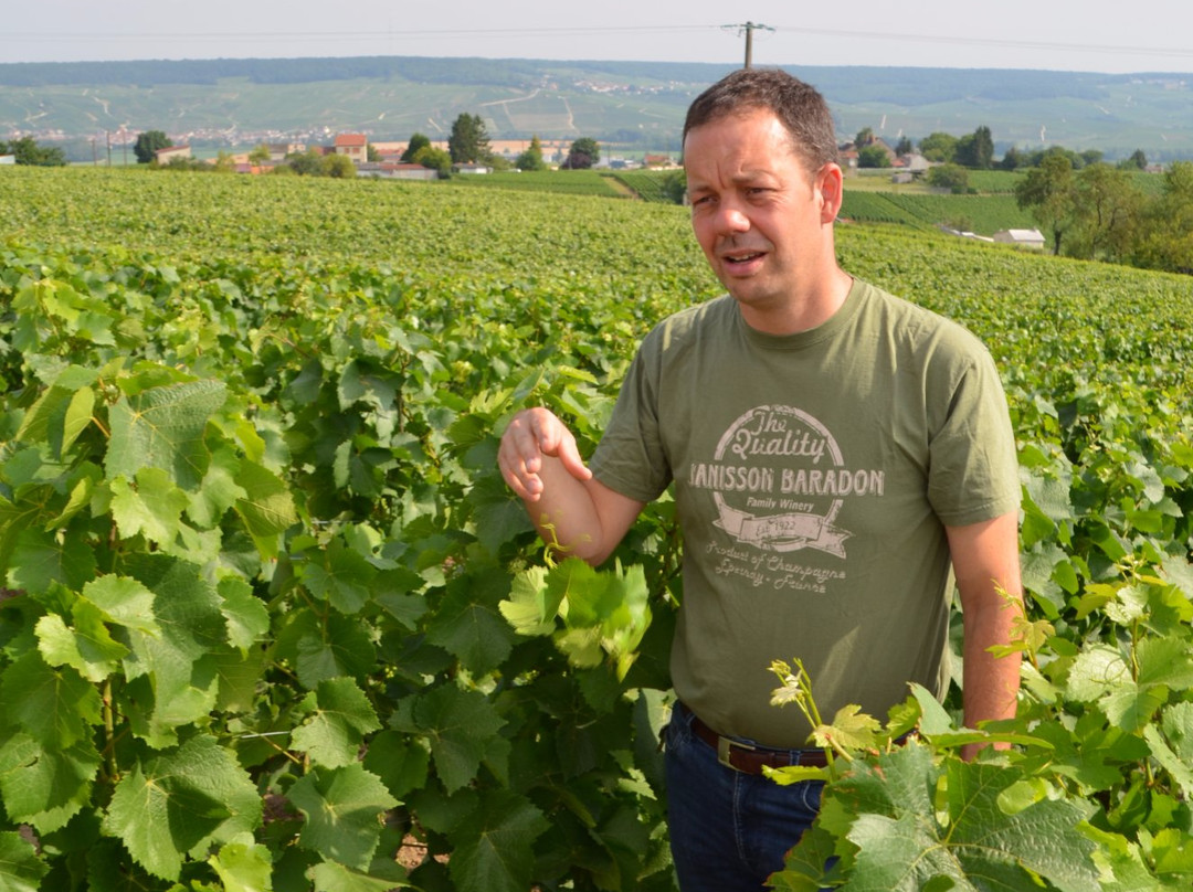 Champagne Janisson Baradon et Fils-埃佩尔内必去景点