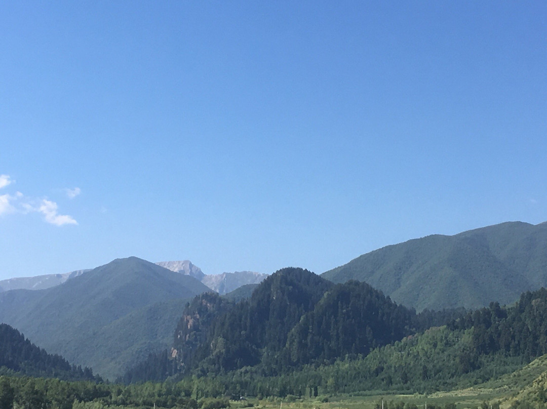 松鸣岩国家森林公园景点图片