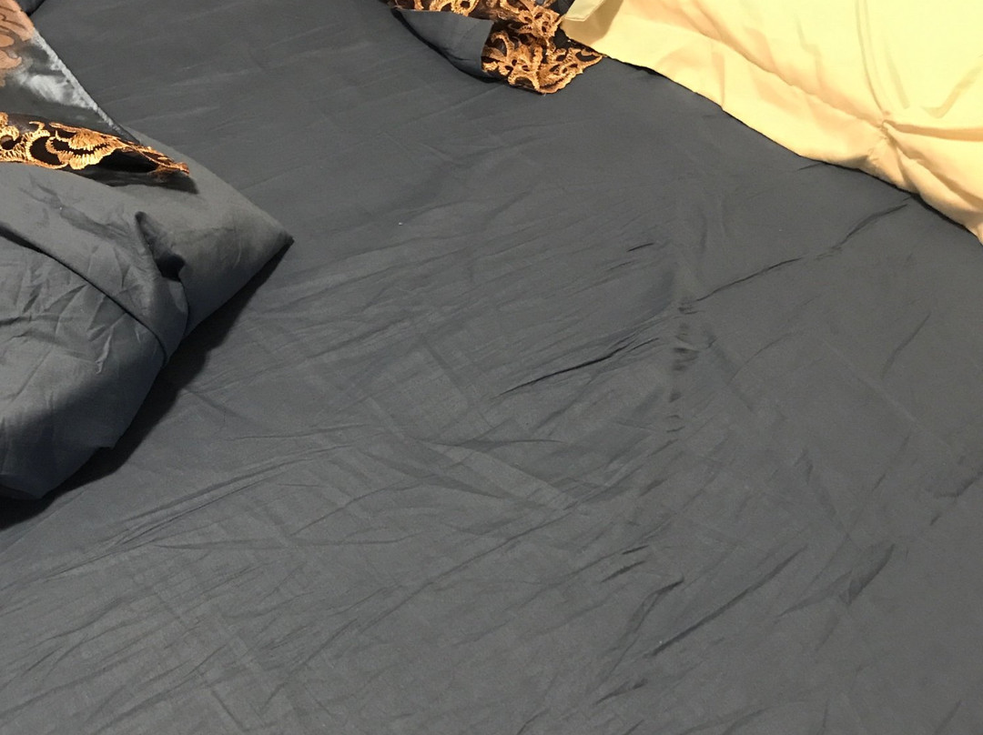 Ace Bed and Breakfast主图