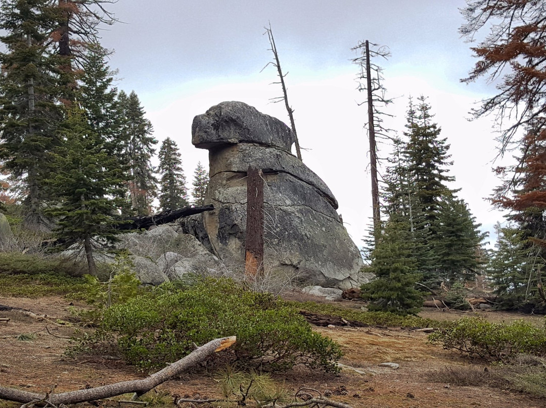 Buena Vista Peak Trail-红杉&国王峡谷国家公园必去景点